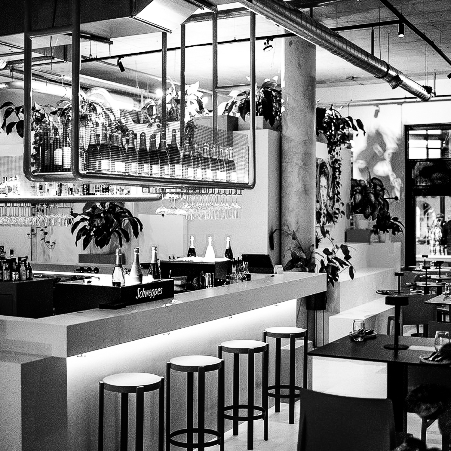 Theke Front Ansicht
