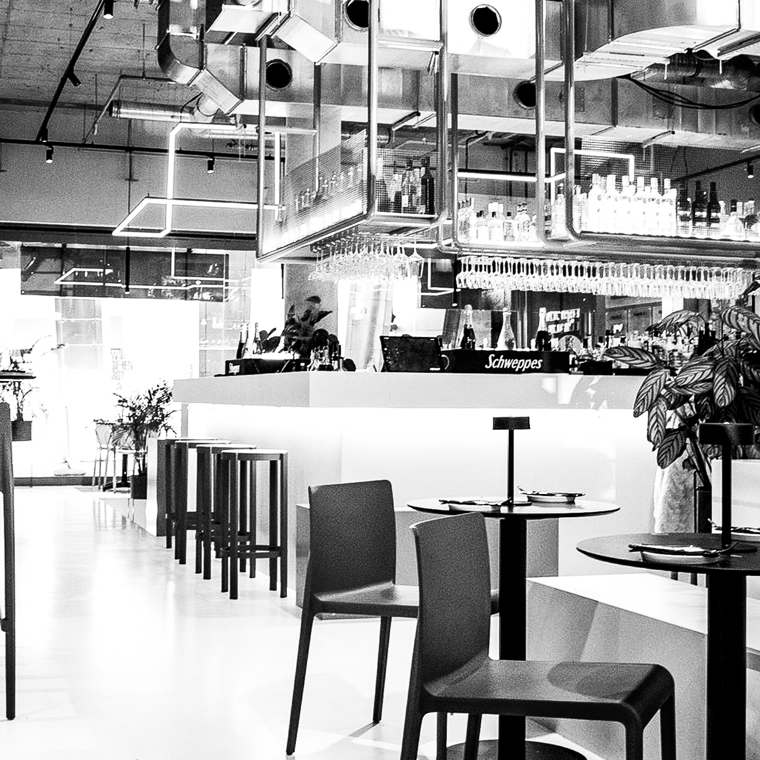 Theke Ansicht Seite